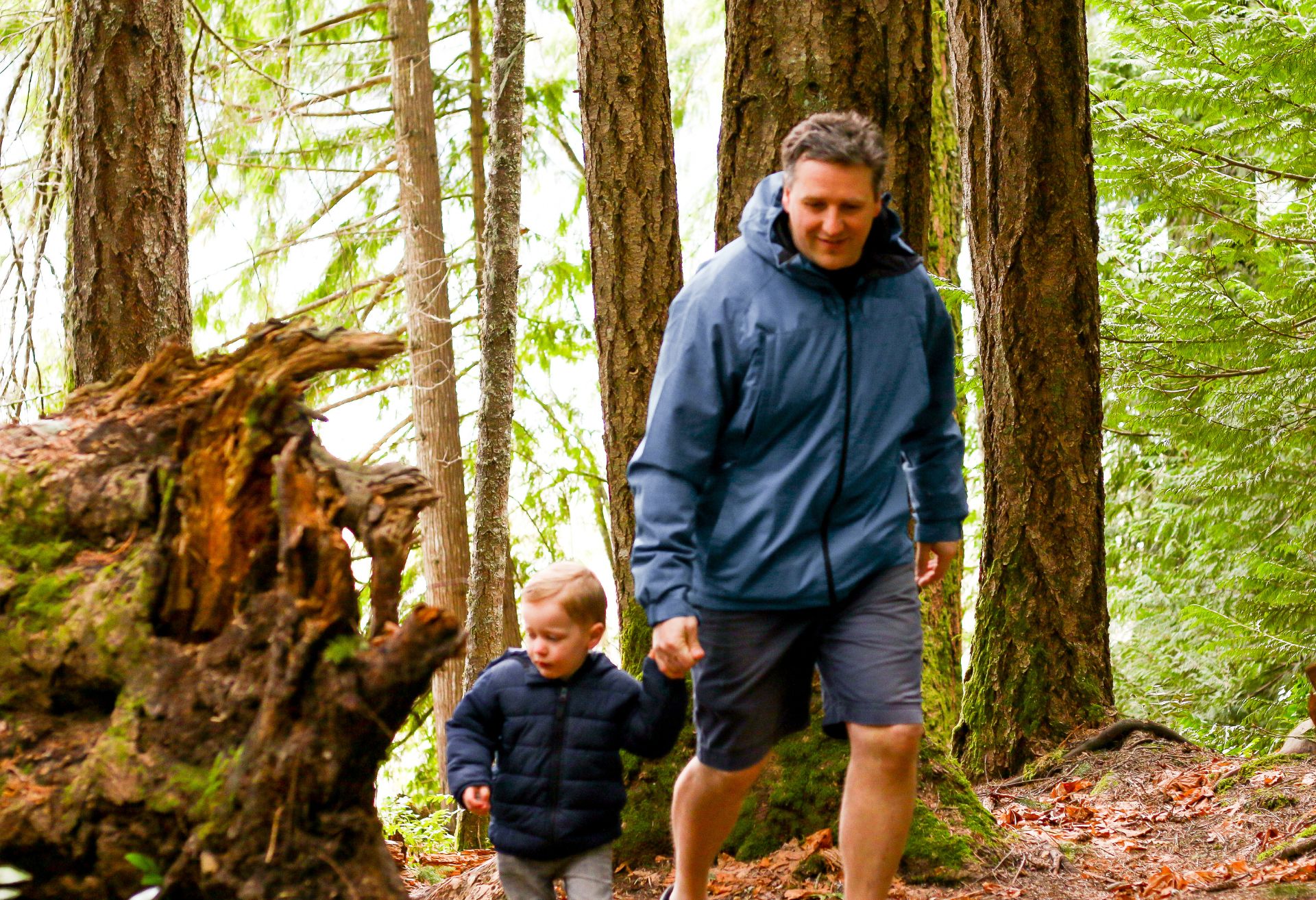 An image of a man walking through a forest with his young son holding his hand
