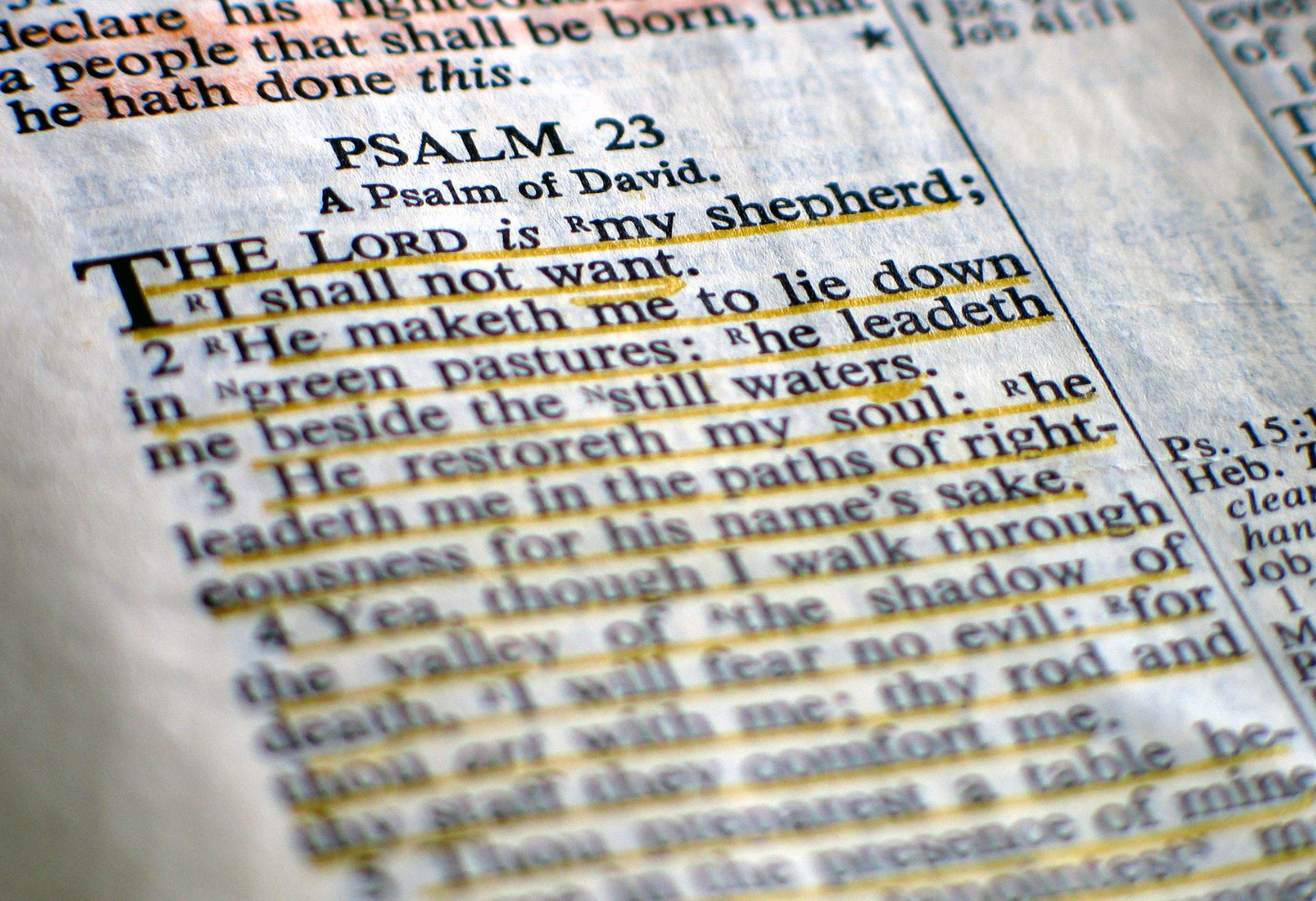 Untitled (1920 x 1314 px) (9)