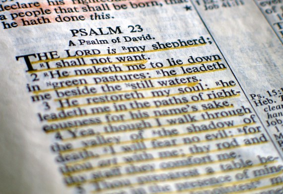 The shifting seasons